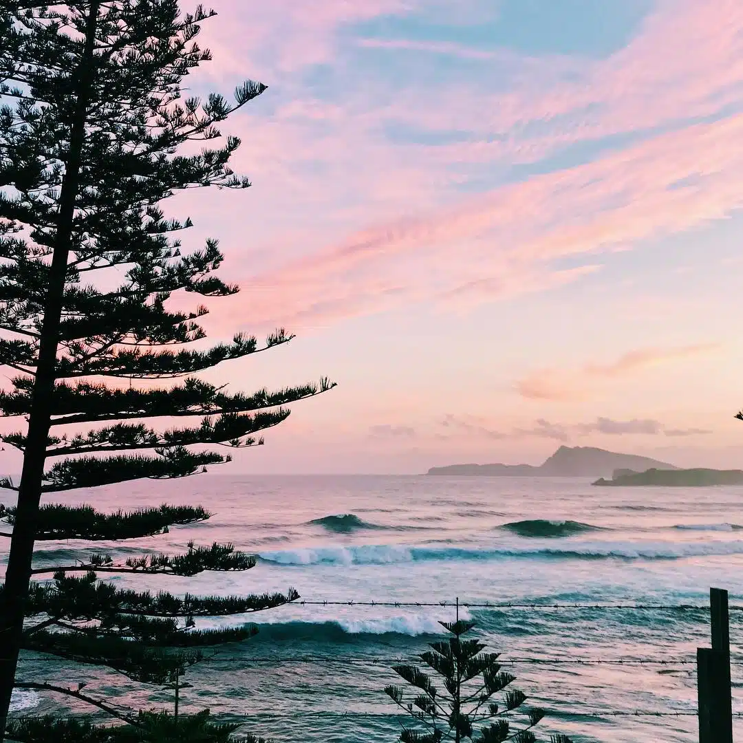 La isla de Norfolk: el secreto mejor guardado de Australia Cosas que hacer en la isla de Norfolk