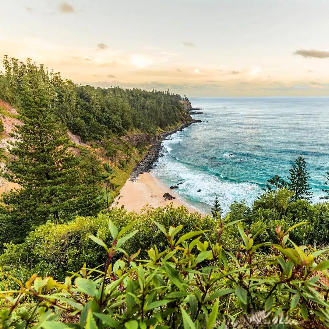 La isla de Norfolk: el secreto mejor guardado de Australia Cosas que hacer en la isla de Norfolk