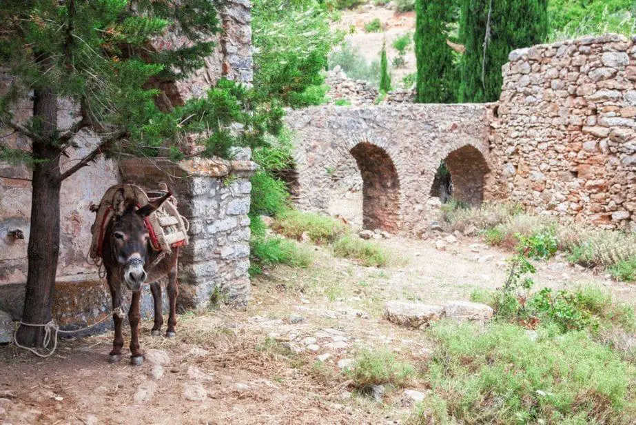 Ven y encuentra los mejores lugares para ver en Grecia, burro atado a un árbol junto a antiguas fortificaciones de piedra