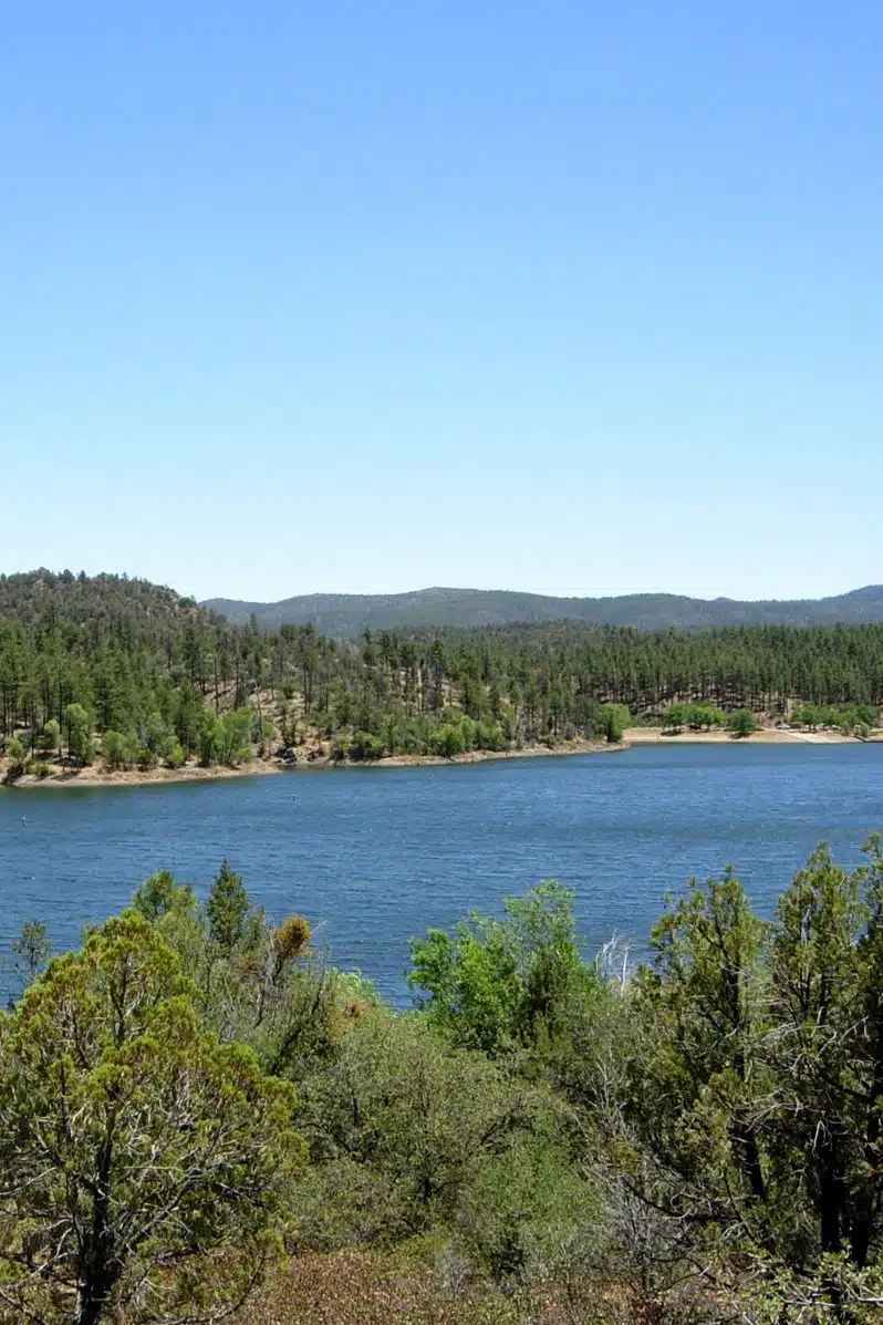 lago lince arizona 