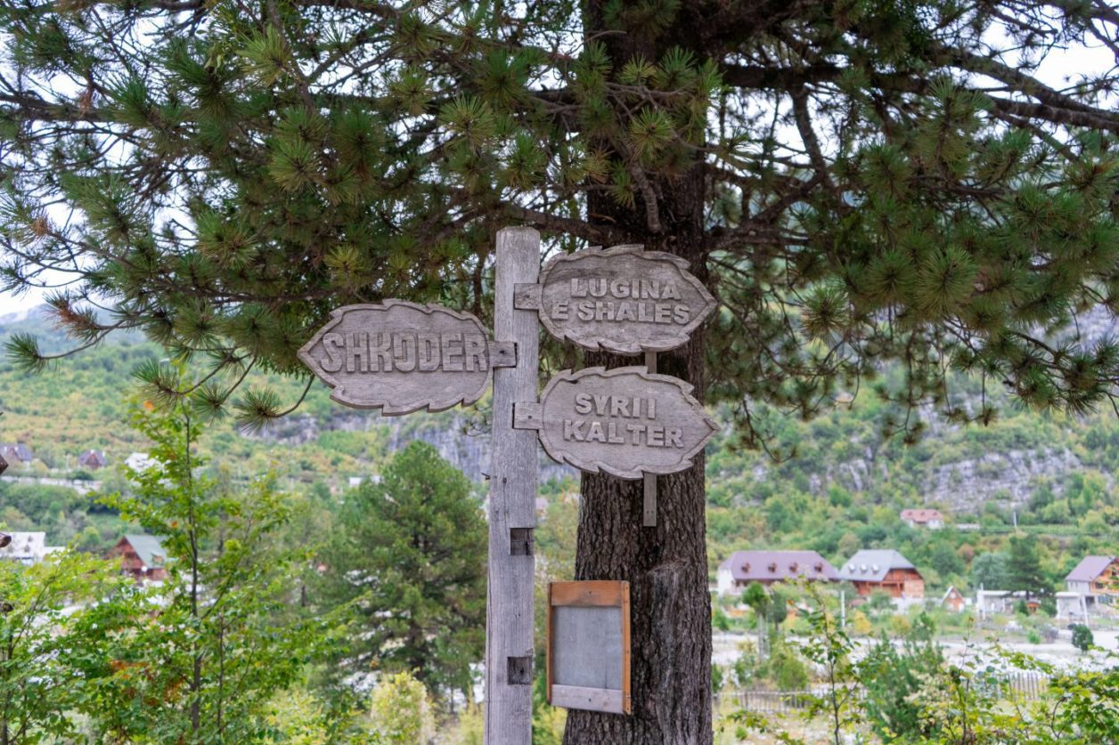 Senderismo por la carretera de Theth a Shkoder, cartel de madera con carteles tallados a mano en forma de hojas que muestran direcciones a Shkoder y al lago Blue Eye frente a un árbol con edificios del pueblo detrás
