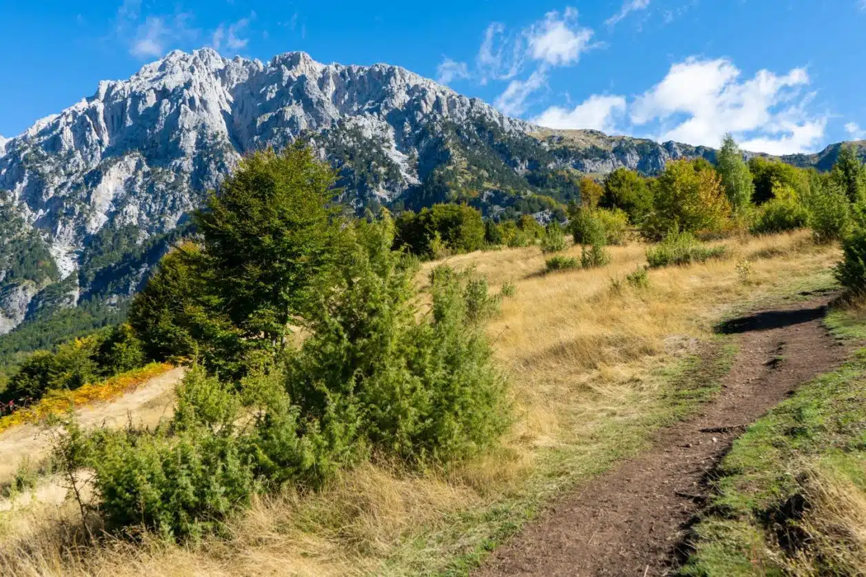 Relájese en la caminata de Valbona a Theth, camino de tierra que se abre entre pastizales verdes y amarillos y árboles pequeños bajo un cielo azul con una montaña cubierta de nieve en la distancia
