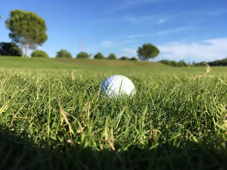 Disfrute de los mejores lugares para ver en Turquía, primer plano de una pelota de golf blanca tirada en la hierba bajo un cielo azul con árboles en el fondo