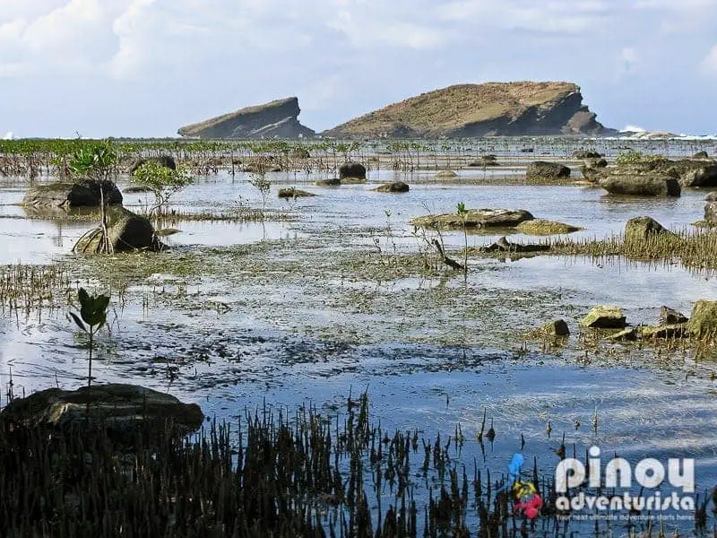 La isla más hermosa de Filipinas, marismas con rocas y hierba alta asomando por la superficie del agua con grandes islas rocosas en la distancia