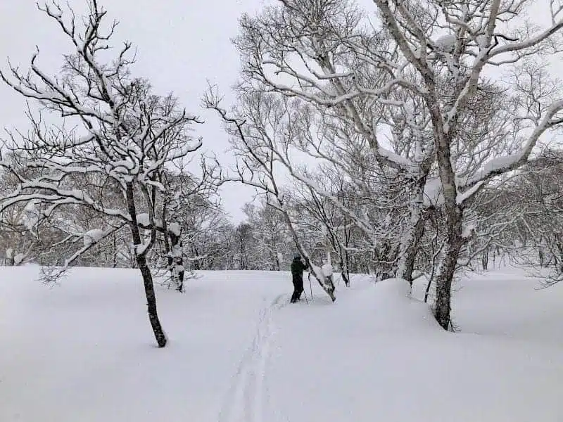 32 lugares imperdibles para visitar en Japón Lugares imperdibles para visitar en Japón