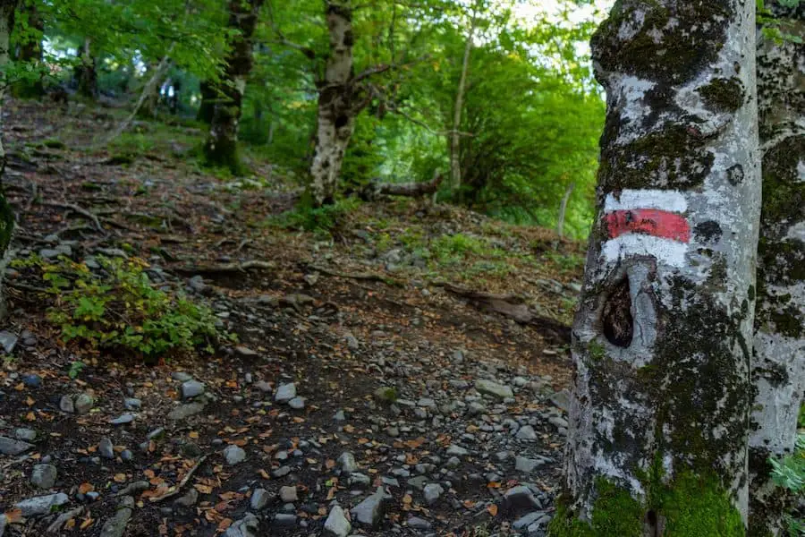 La mejor caminata en Albania, marcador de senderismo en árbol