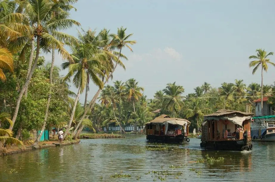 Por qué visitar Kerala, India, es tan especial, casas flotantes que bajan por el río rodeadas de palmeras