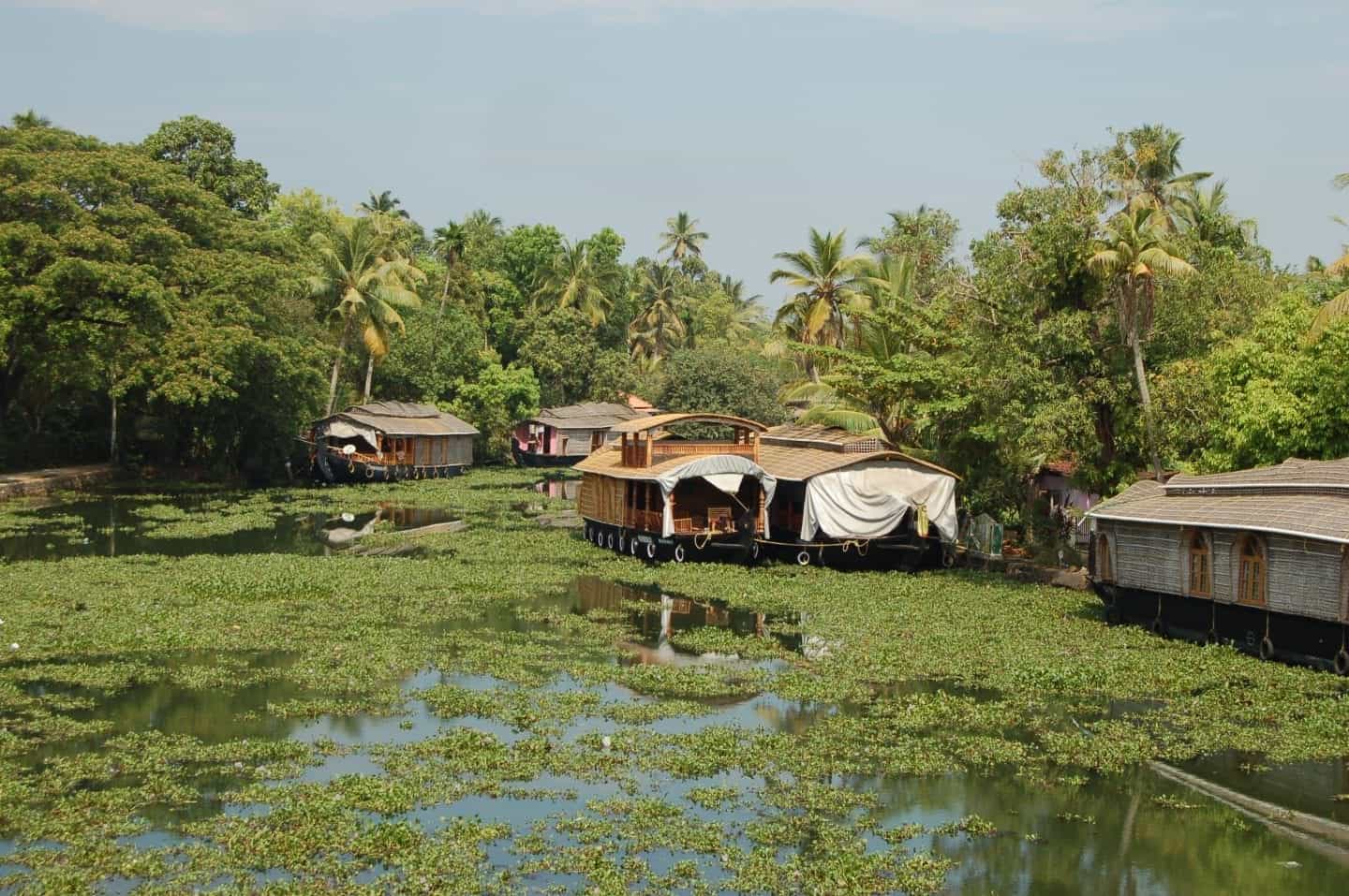 lugares famosos en Kerala India, casas flotantes en agua cubierta de musgo