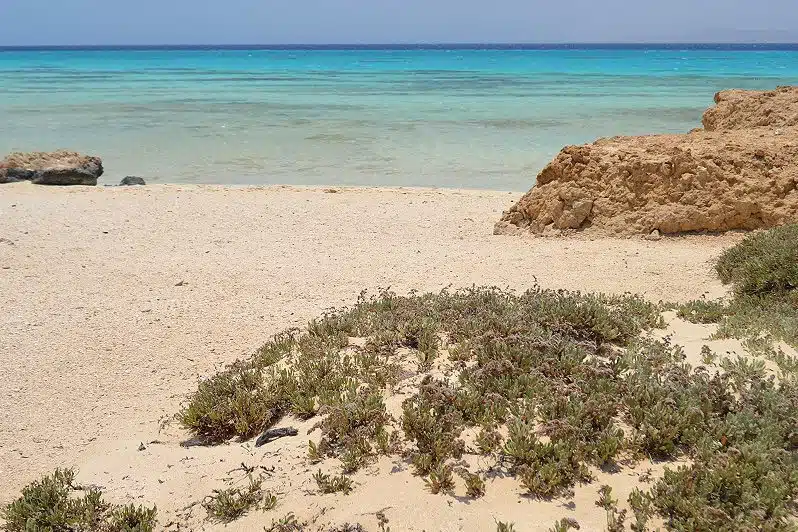 La guía definitiva de Marsa Alam gratis marsa alam cosas que hacer