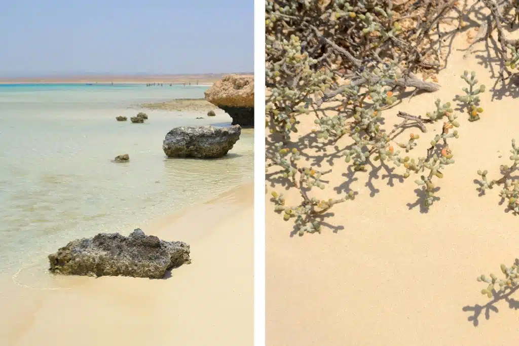 La guía definitiva de Marsa Alam gratis marsa alam cosas que hacer