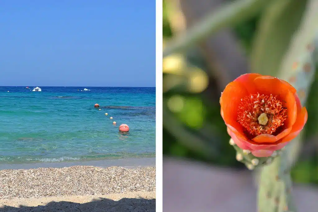La guía definitiva de Marsa Alam gratis movenpick el quseir resort