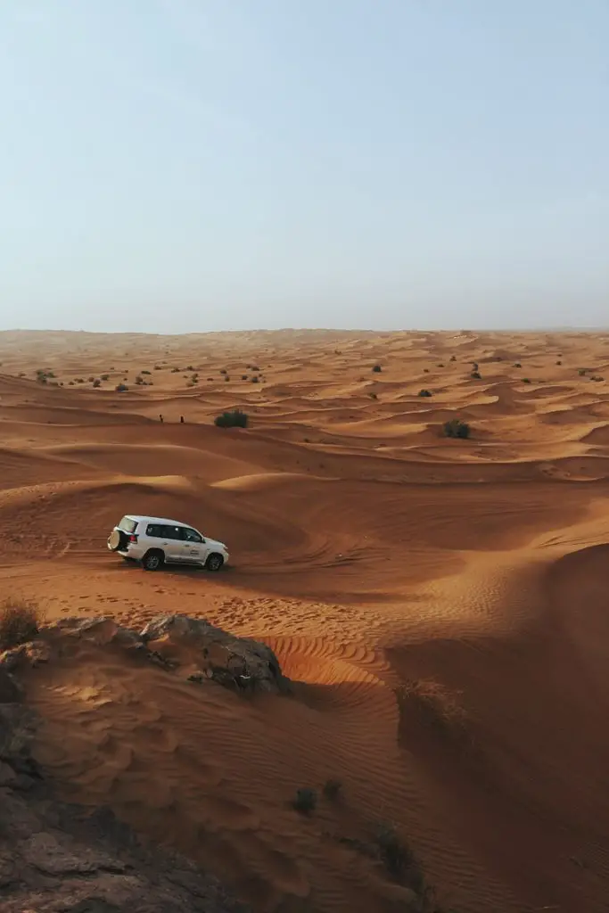 safari por el desierto