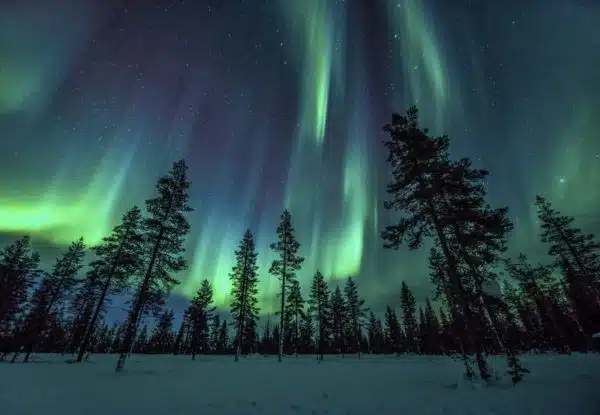 Descubre la belleza de la Laponia finlandesa en 2024