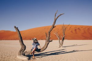 Experimenta Deadvlei en Namibia en 2023: Una verdadera obra maestra de la naturaleza