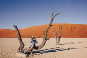 Experimenta Deadvlei en Namibia en 2024: Una verdadera obra maestra de la naturaleza Experimenta Deadvlei en Namibia en 2024: Una verdadera obra maestra de la naturaleza