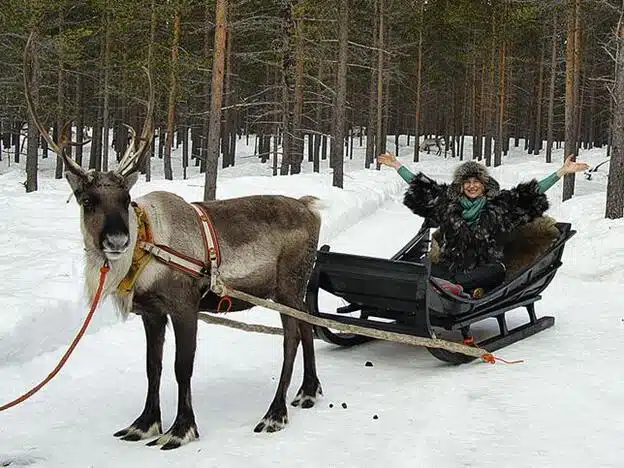 Descubre la belleza de la Laponia finlandesa en 2024