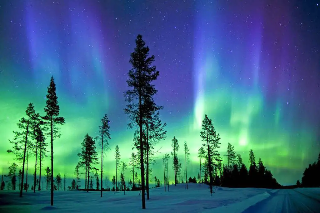 Descubre la belleza de la Laponia finlandesa en 2023