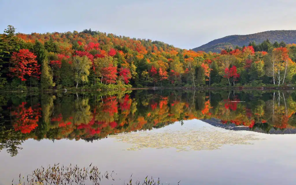 Explora las mágicas montañas Adirondack en 2024