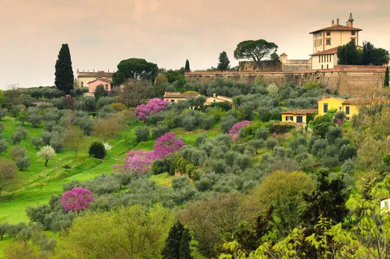 Ver el Fuerte del Belvedere en Florencia
