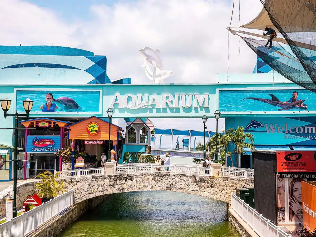 10 cosas que hacer en Cancún con niños Acuario interactivo en Cancún
