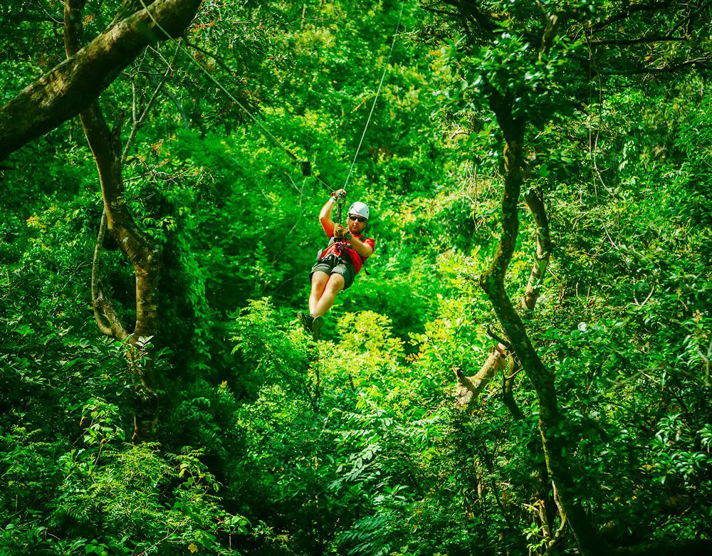 Las mejores aventuras de Canopy Zip Line en Puerto Vallarta