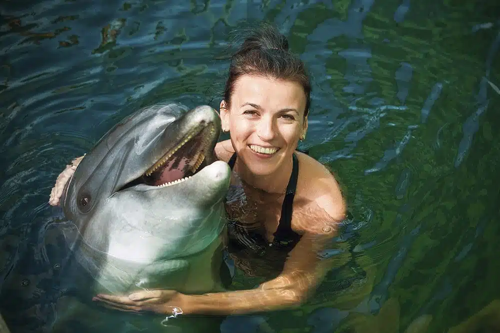 Las mejores atracciones en Cancún para visitar Qué esperar cuando vas a nadar con delfines en Puerto Vallarta