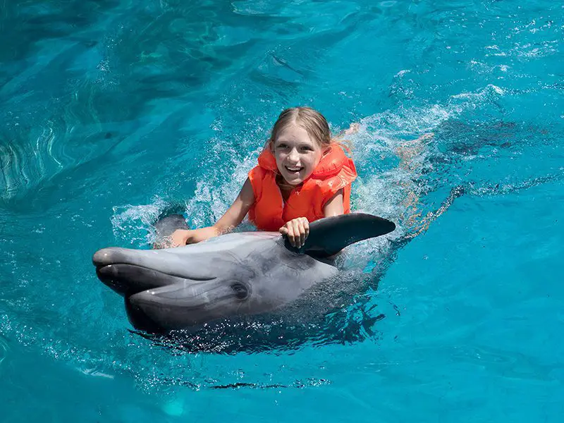 niños delfines