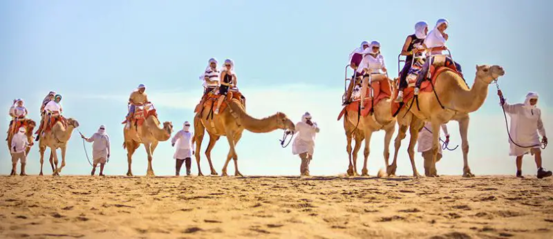 Paseos en camello en Cabo