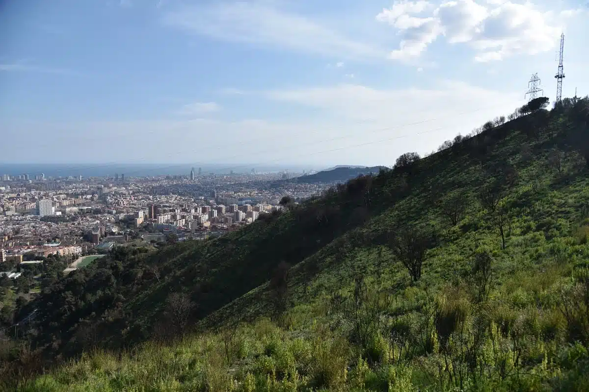 Caminata Collserola Caminata Collserola
