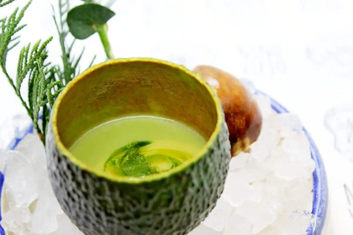 Crema helada de aguacate