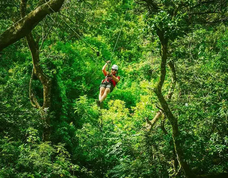 Canopy Tours en Puerto Vallarta diseñados para deleitar La necesidad de velocidad