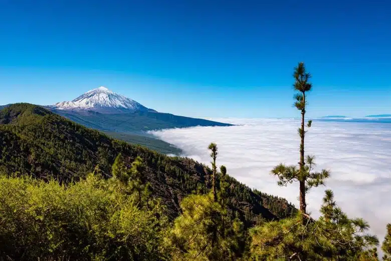 Dónde alojarse en Tenerife: Las mejores zonas