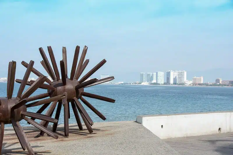 arte de puerto vallarta