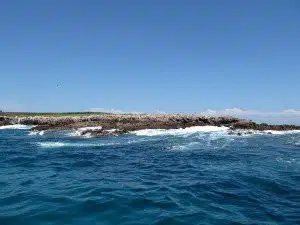 isla-marietas-puerto-vallarta