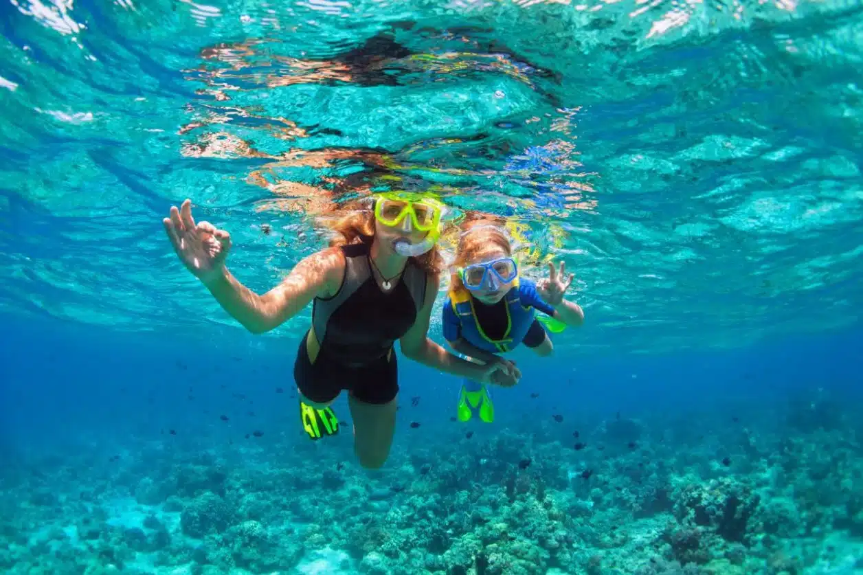 Las Mejores Playas de Cabo San Lucas