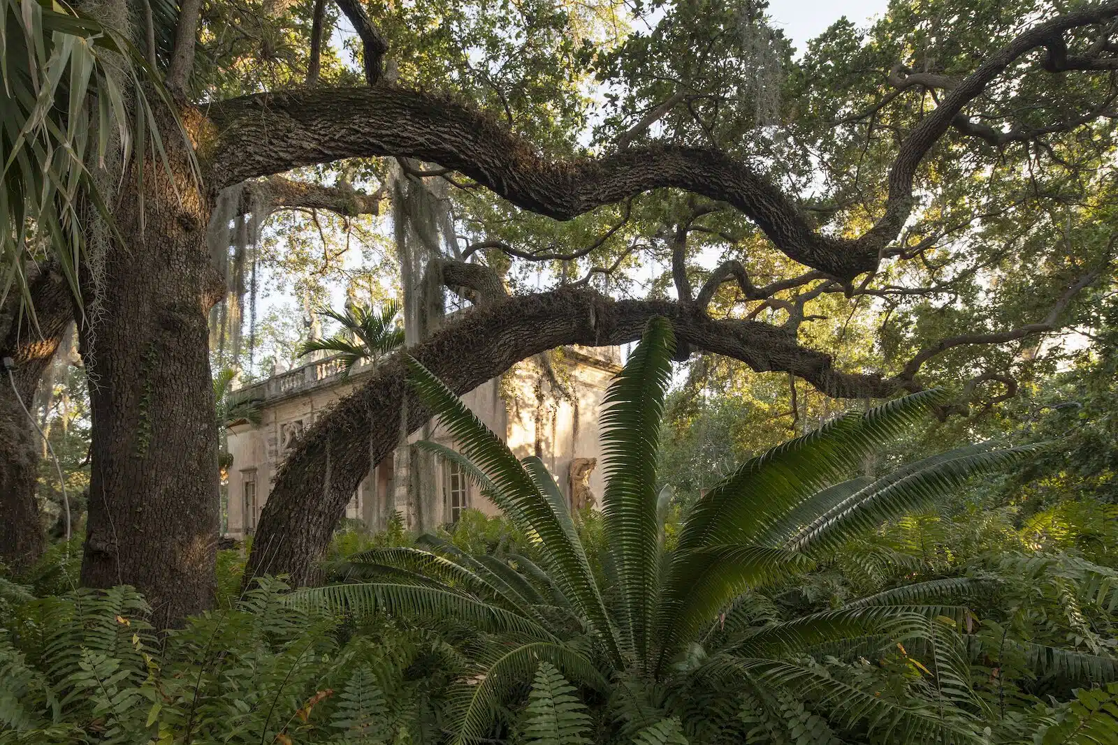 House peeking from behind the lush greenery at Miami’s Vizcaya Museum and Gardens
