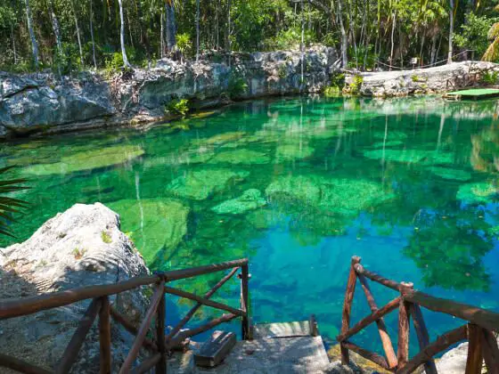 Cenotes de México: descubre uno de los más geniales