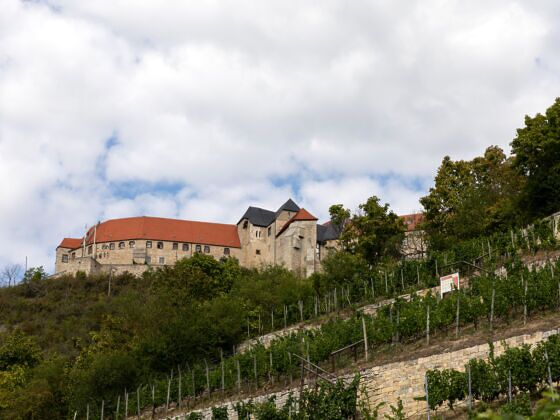 Sajonia Anhalt: un lado de Alemania lleno de vino, reservas naturales e historia