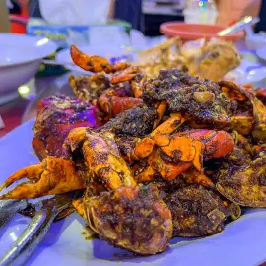 KOTA KINABALU: 20 mejores cosas que hacer KOTA KINABALU: 20 mejores cosas que hacer