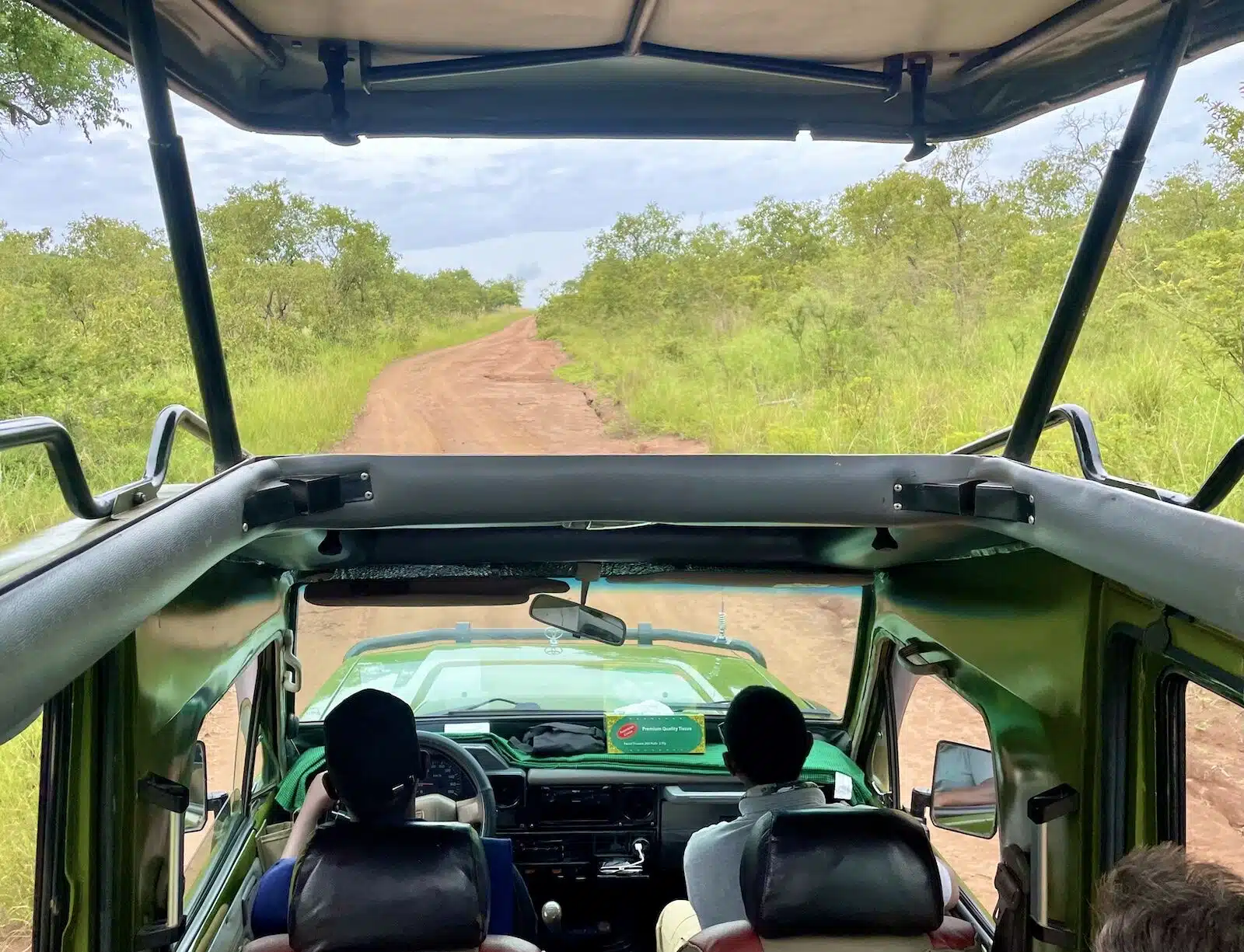 Parque Nacional de Akagera: Cómo hacer un safari en Ruanda en 2024 conduciendo por el parque nacional de akagera en safari