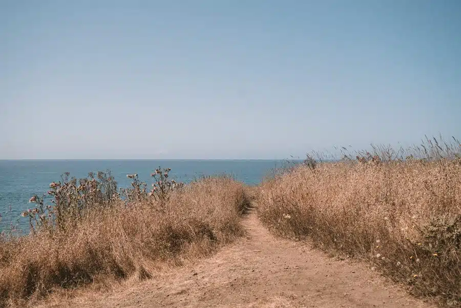 11 cosas que no te puedes perder en Mendocino, California 11 cosas que no te puedes perder en Mendocino, California