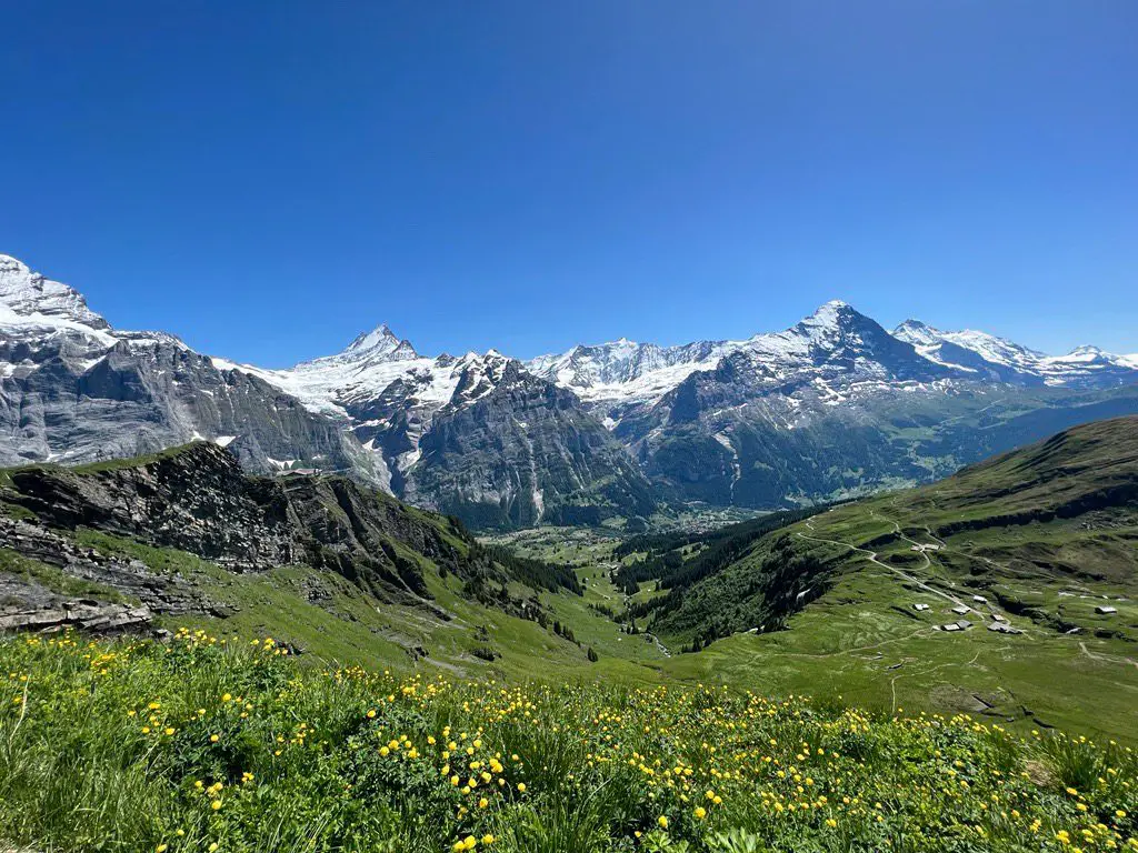 Vista panorámica de montañas nevadas en Suiza con flores.