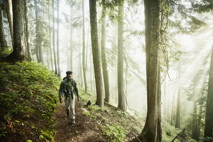 Hombre caminando por un sendero en el bosque en una mañana de niebla