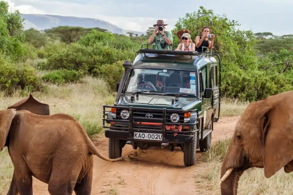 Reserva Nacional de Maasai Mara: Cómo planificar, reservar y disfrutar un safari 2024 maasai mara