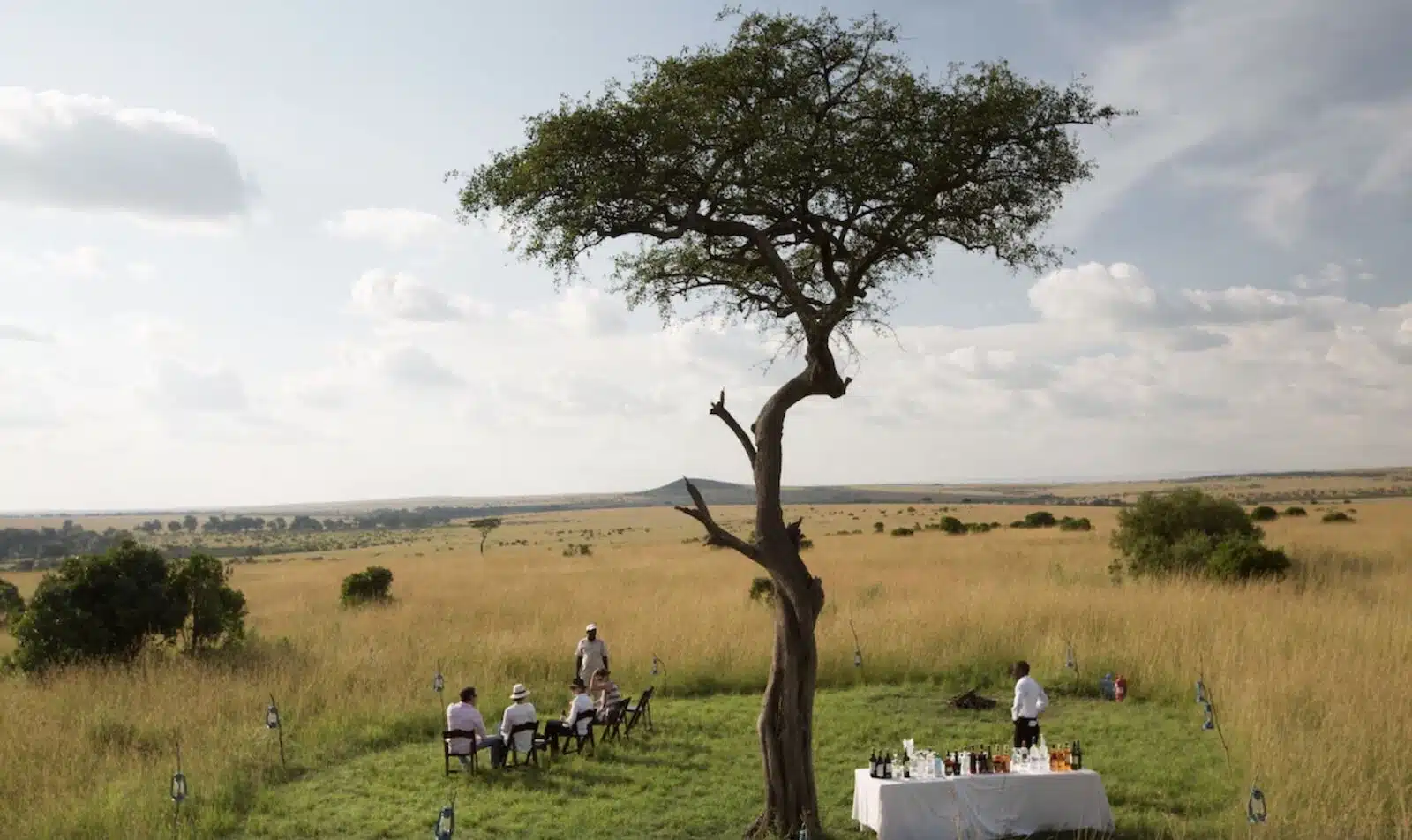 Reserva Nacional de Maasai Mara: Cómo planificar, reservar y disfrutar un safari 2024 tree and dinner