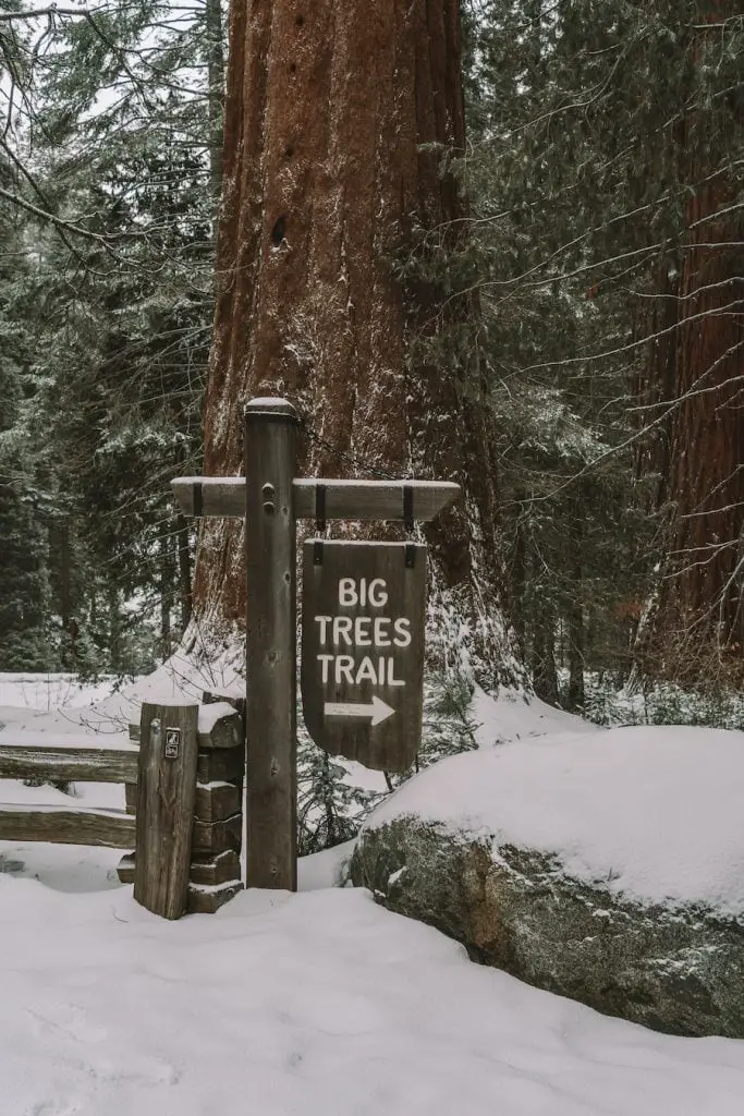 Signo de Big Trees Trail en el Parque Nacional Sequoia