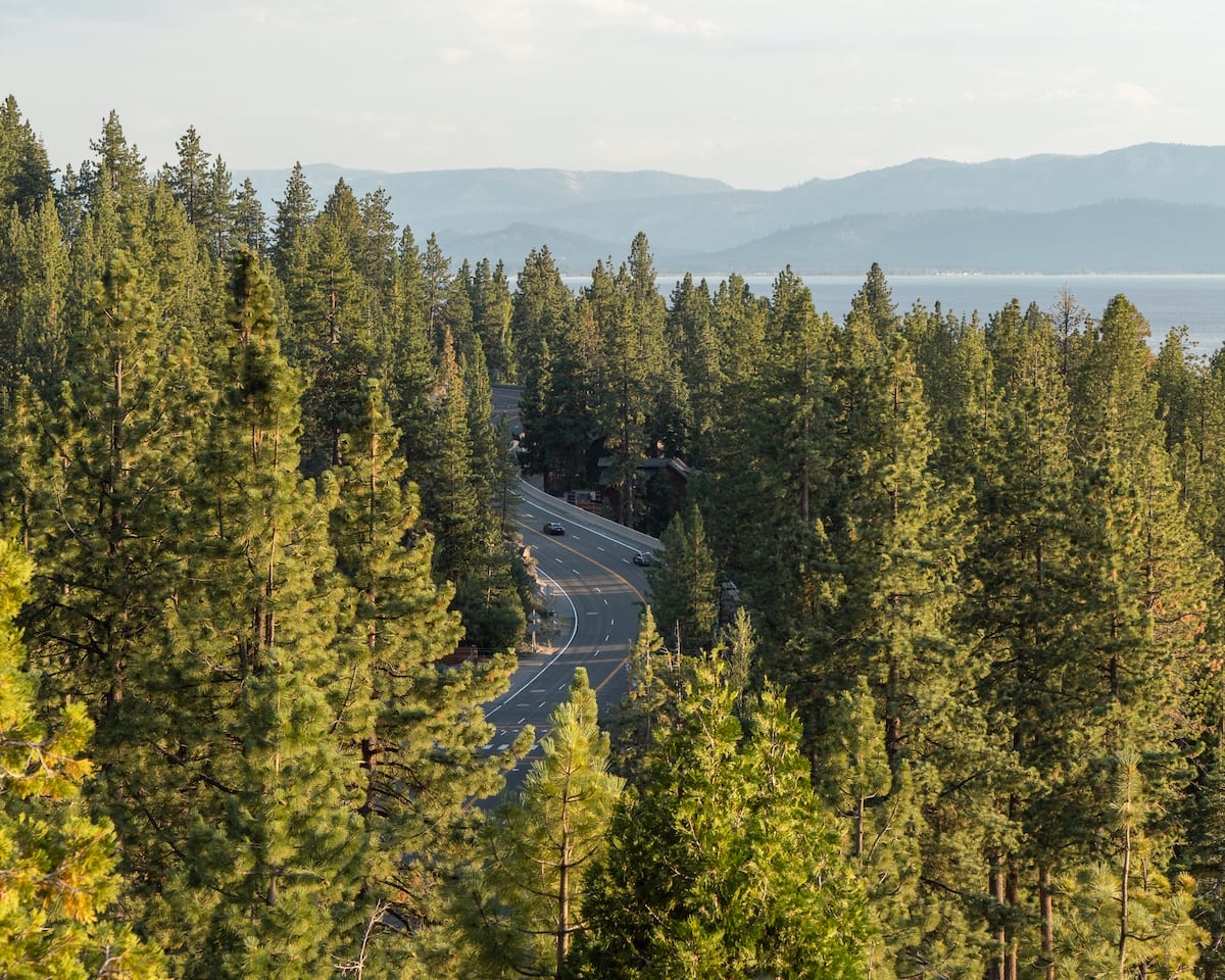 Corte de carretera a través de pinos junto al lago Tahoe, Nevada