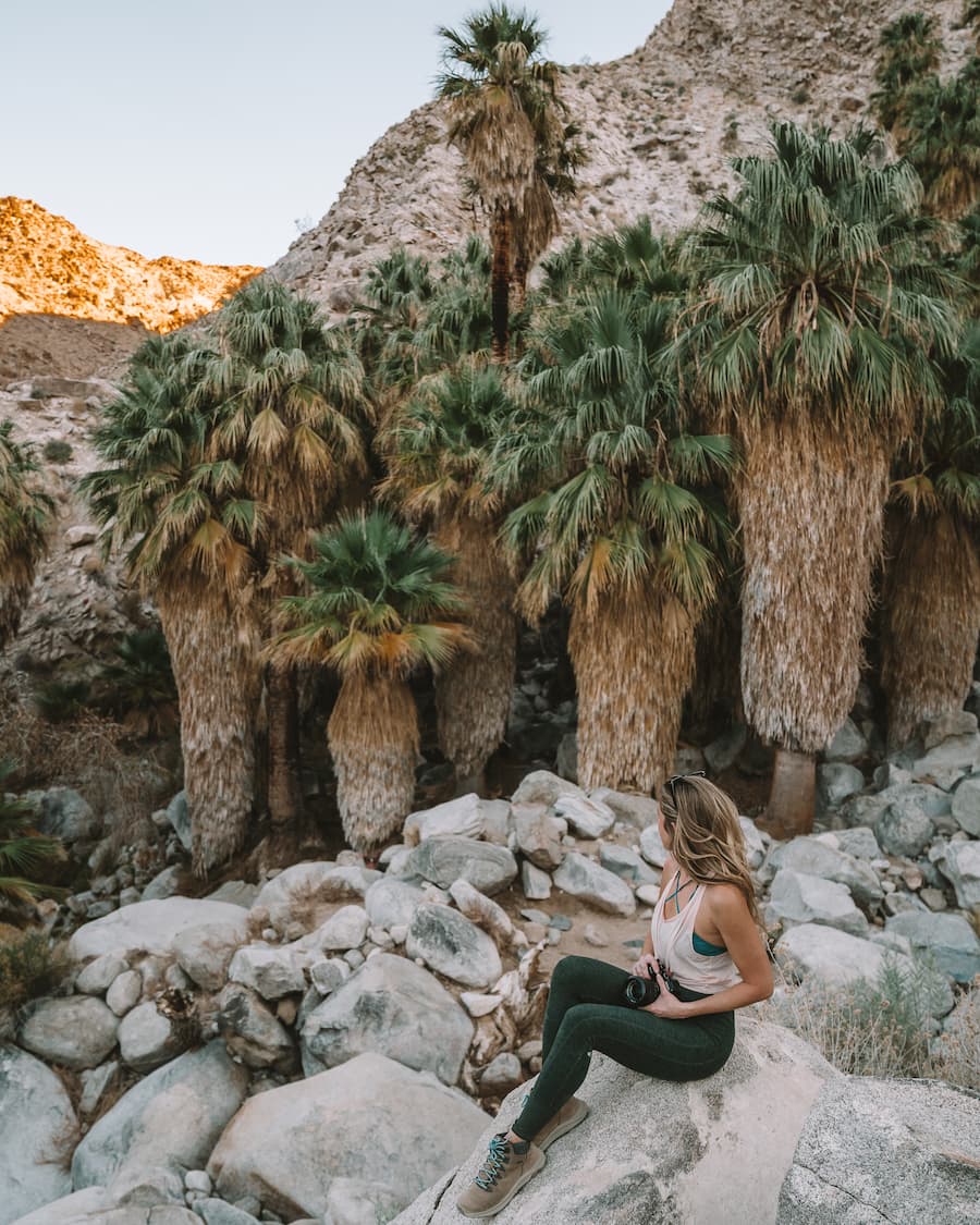 Michelle Halpern sentada en una roca junto a palmeras