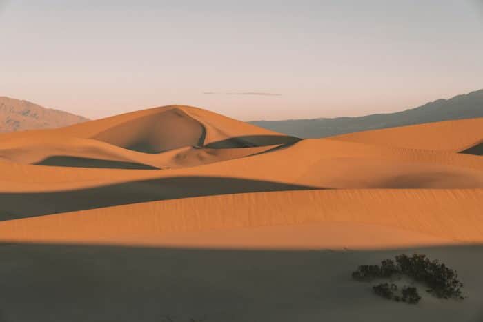 Dunas de arena planas de Mesquite al amanecer.