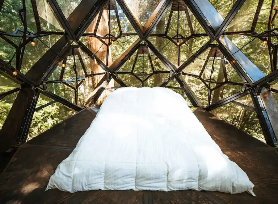 Dormitorio en casa del árbol de piña